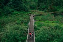 A young couple enjoys a hike in a forest in the Pacific Northwest — Stock Photo