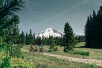 Threee women bike on a trail near Mt. Hood in Oregon. — Stock Photo