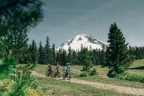 Три подруги катаются на горном велосипеде по тропе на горе. Худ, Орегон. — стоковое фото