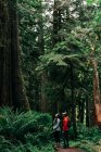 Un jeune couple profite d'une randonnée dans une forêt du Pacifique Nord-Ouest. — Photo de stock