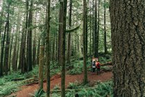 A young couple enjoys a hike in a forest in the Pacific Northwest. — Stock Photo