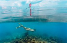 Jovens mulheres se divertem no oceano, vista subaquática — Fotografia de Stock