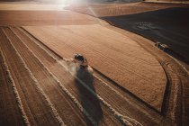 Colheita de campo nos campos — Fotografia de Stock