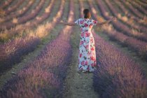 Жінка спостерігає за лавандовим полем — стокове фото