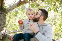 Fatherly love; a father and son in an apple tree. — Stock Photo