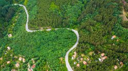 Veduta aerea di strada tortuosa attraverso i boschi densi sull'alta montagna in Bulgaria. — Foto stock
