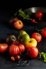 Heirloom Tomatoes with Basil Freshly Picked from Garden — Stock Photo