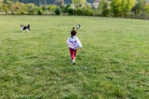 Little girl walking on meadow playing with shepherds dogs — Stock Photo