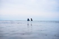 Dos amigos esperando olas en el océano - foto de stock