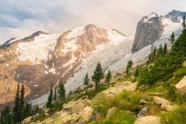 The Spires and Glacier in Bugaboo Provincial Park, British Columbia, Canada — стокове фото