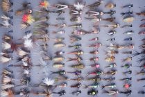 Photo en gros plan de mouches dans la boîte à mouches d'un pêcheur. — Photo de stock