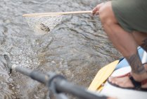 Рыбак-муха вытаскивает коричневую форель из реки сетью.. — стоковое фото