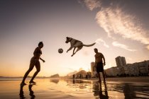 Пара грає у футбол з собакою на водах перед лицем Копакабана. — стокове фото