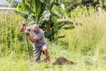 Пожилой человек копает яму на открытом воздухе — стоковое фото