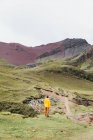 Un hombre con una chaqueta amarilla está parado en una colina en Perú - foto de stock