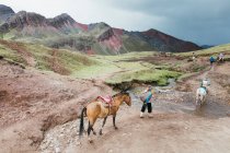 Local guides with horses are going down to the valley, Peru — Stock Photo