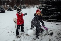 Enfants lançant des boules de neige à la caméra avec chien — Photo de stock