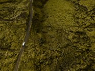 Vista aérea del coche conduciendo a través de rocas de lava cubiertas de musgo - foto de stock