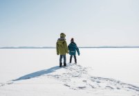 Дети прогуливаются по замерзшему озеру в Швеции — стоковое фото