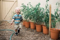 Kleiner Junge baut Tomatenpflanzen in Töpfen an. — Stockfoto
