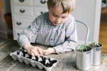 Пятилетний мальчик начинает сажать саженцы — стоковое фото