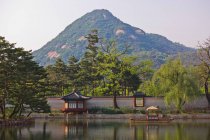 Чайный дом в королевском дворце в Сеуле, Южная Корея — стоковое фото