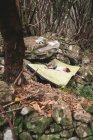 Un bambino riposa dopo aver scalato una roccia in una foresta — Foto stock