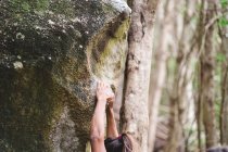 Upper body of a female climber climbing a rock in a forest — Stock Photo