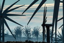 Windmühlen am kalifornischen Berghang bei Tehachapi — Stockfoto