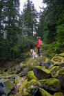 Young man with dog in the forest — Stock Photo