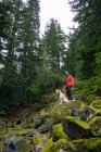 Maschio escursionista e soffice cane in piedi su rocce muschiose in montagna — Foto stock