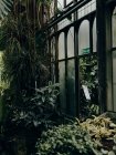 A l'intérieur des Jardins Botaniques de Verres — Photo de stock