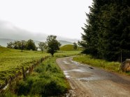 Country road in Scotland on nature background — Fotografia de Stock