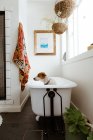 Грустный щенок стоит в белой ванной перед купанием — стоковое фото