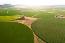 Grüne Kornkreise wachsen in einer Wüste von Nevada — Stockfoto