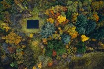 Top view of black foundation of aged house located on clearing among autumn trees in forest in Iceland — стоковое фото