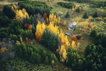 Vista aérea da casa de campo entre árvores outonais coloridas na paisagem rural da Islândia — Fotografia de Stock