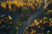 From above aerial view of asphalt road going through amazing autumn forest with small pond on tranquil sunny day in Iceland — Stock Photo