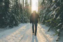 Grave escursionista che cammina lungo il sentiero di montagna. Il paesaggio degli Urali — Foto stock