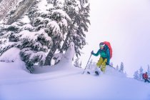 Mulher saltando do topo da colina nevada, enquanto esqui sertanejo em BC — Fotografia de Stock
