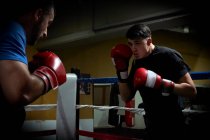 Dois boxers treinando em um ringue — Fotografia de Stock