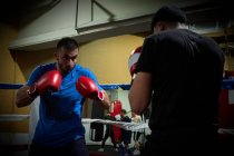 Zwei Boxer beim Training im Ring — Stockfoto