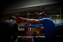 Два боксера тренируются на тренажерном ринге — стоковое фото