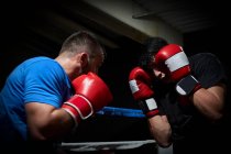 Two boxers training on a ring — Stock Photo