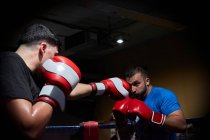 Dos boxeadores entrenando en un ring - foto de stock