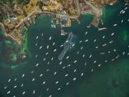 Barche di aragosta in un porto del Maine dall'alto — Foto stock