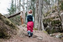 Visão traseira de uma menina caminhando através de uma floresta na Suécia — Fotografia de Stock