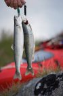 Pêcheur avec des poissons sur la rivière sur fond de nature — Photo de stock