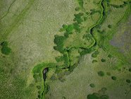 Aerial picture of a small river ion Iceland - foto de stock