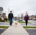 Homem e senhora mais velha passeando cão na calçada do bairro suburbano. — Fotografia de Stock